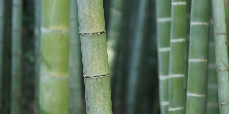 安徽云盛21：驱动企业数字化转型的数字化服务与系统集成专家