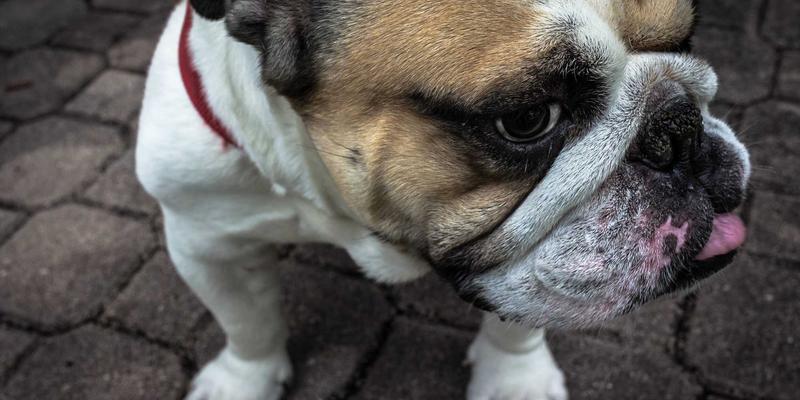 安徽云盛25：以软件开发与系统集成双轮驱动，赋能企业数字化转型新未来