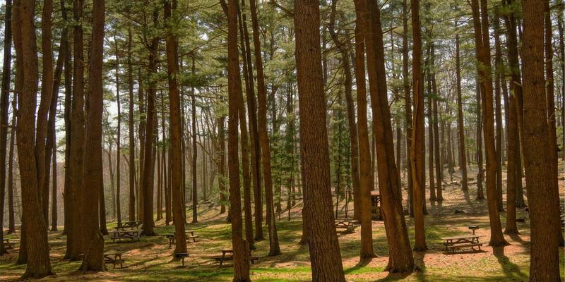 安徽云盛92:以专业系统集成驱动企业数字化转型的IT解决方案专家