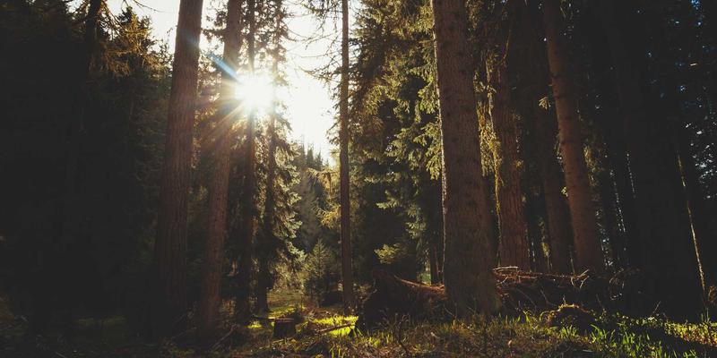 安徽云盛：以系统集成与IT解决方案驱动教育行业数字化转型