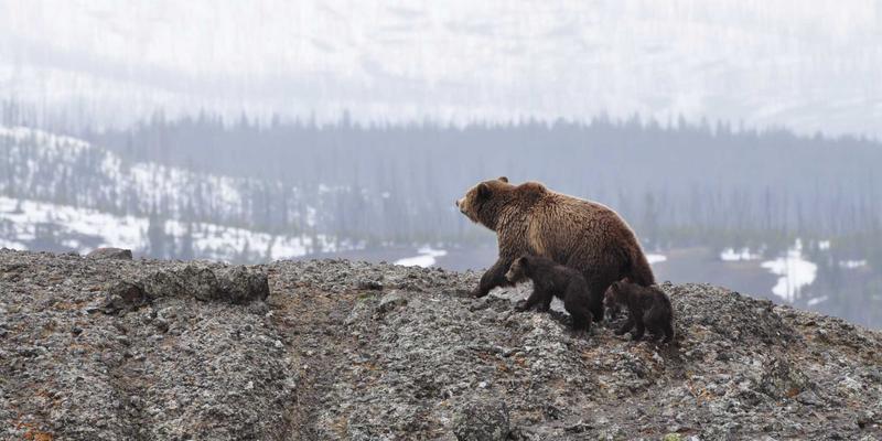 安徽云盛企业级云存储：驱动企业信息化的核心优势与灵活价格策略