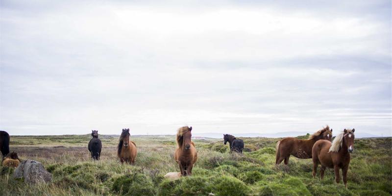 安徽云盛前景:以系统集成与软件开发双轮驱动,赋能企业信息化转型升级