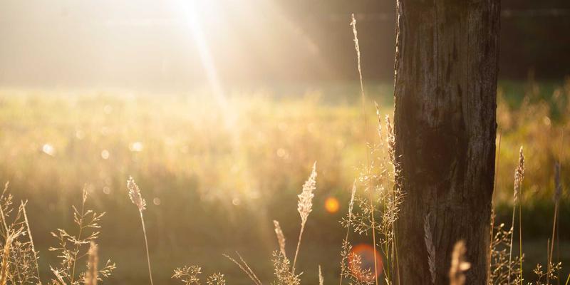 安徽云盛数字化工作空间：以系统集成驱动数字化转型，打造安全统一高效的IT解决方案