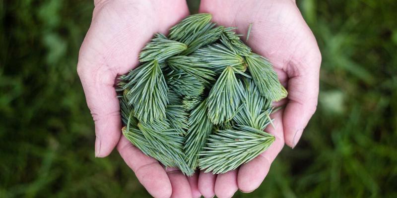 安徽合肥企业数字化服务如何选？深度对比揭示安徽云盛IT解决方案的三大优势