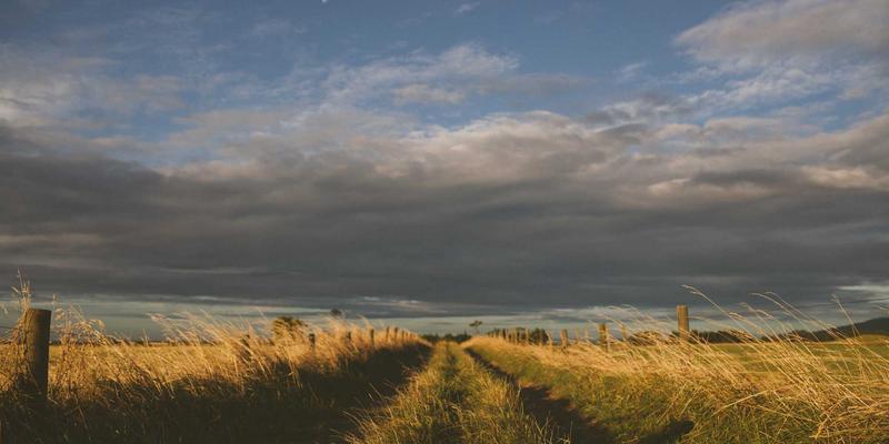 数字化转型新引擎：安徽云盛如何助力政府构建一体化政务云平台与数据共享体系